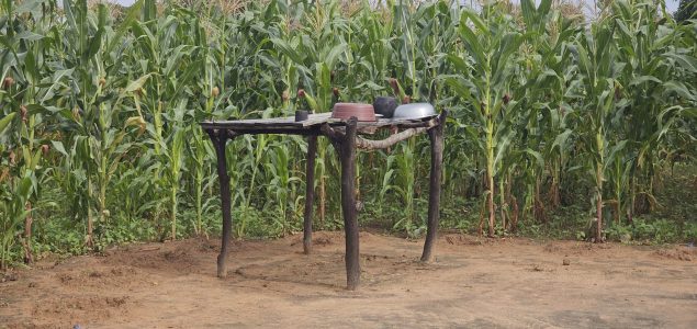 Zwischen Freude und Bangen    Between joy and fear