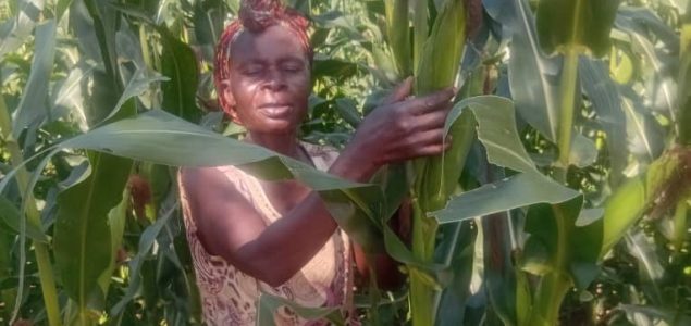 Agragprojekt verdient 100 Punkte